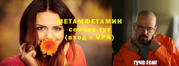 ГАЛЛЮЦИНОГЕННЫЕ ГРИБЫ Абаза