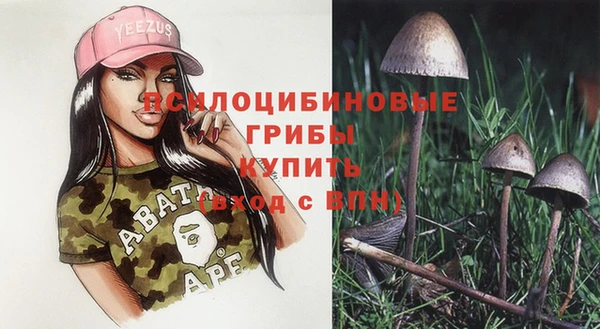 Альфа ПВП Абдулино