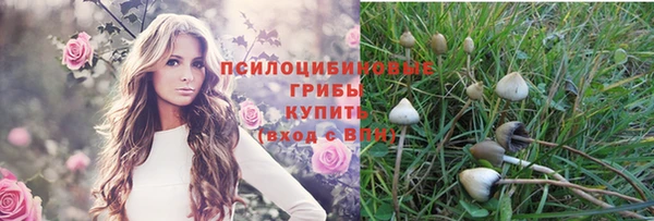 скорость Абинск
