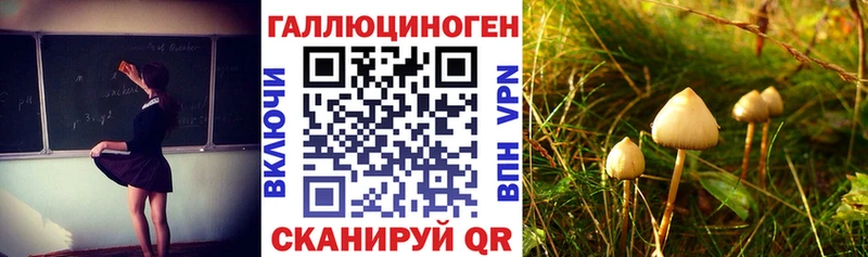 Псилоцибиновые грибы Magic Shrooms  MEGA ONION  Мамадыш 
